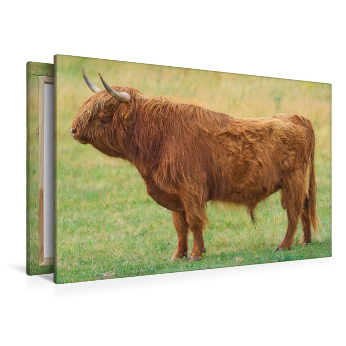 Premium Textil-Leinwand Stolzer Hüter der Weide