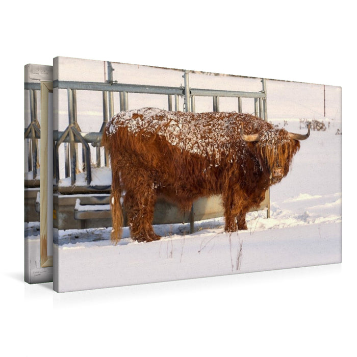 Premium Textil-Leinwand Winterkönig