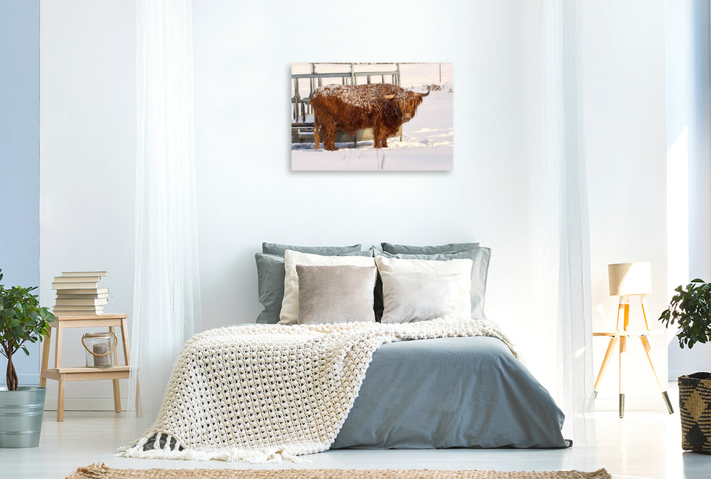 Premium Textil-Leinwand Winterkönig