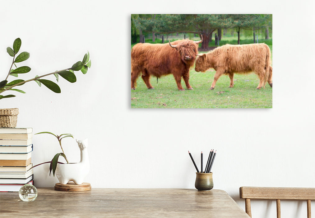 Premium Textil-Leinwand Wilde Begegnung