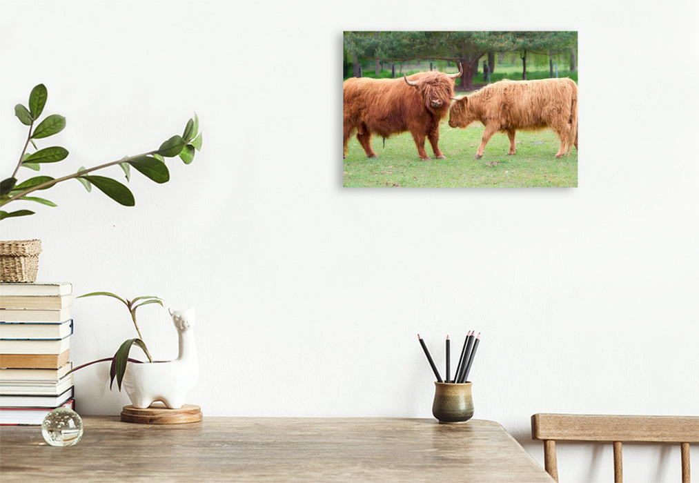 Premium Textil-Leinwand Wilde Begegnung