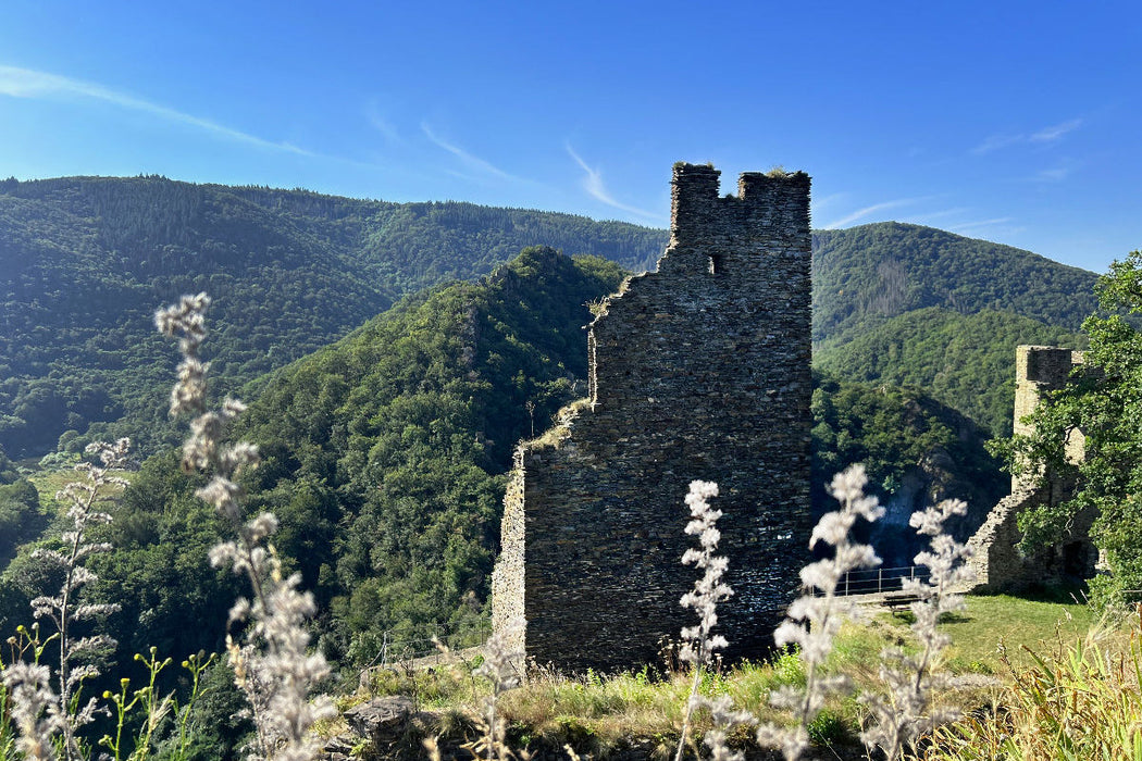 Premium Textil-Leinwand Ruinen der Burg Are