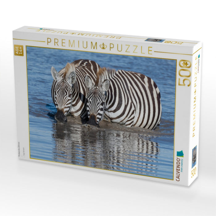 Trinkende Zebras - CALVENDO Foto-Puzzle'