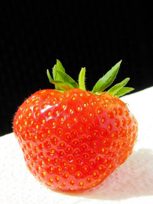 Erdbeere - CALVENDO Foto-Puzzle'