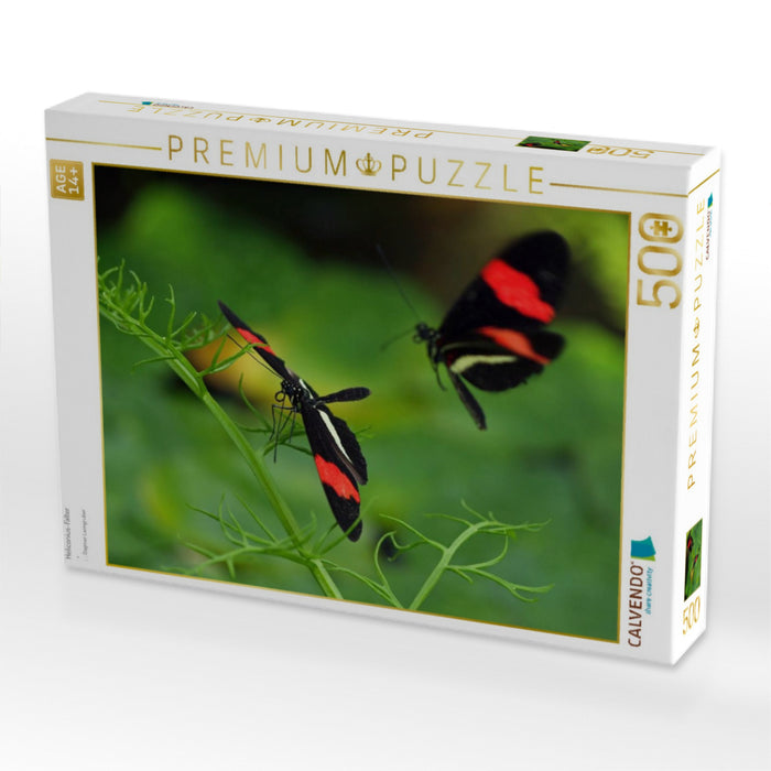 Heliconius-Falter - CALVENDO Foto-Puzzle'