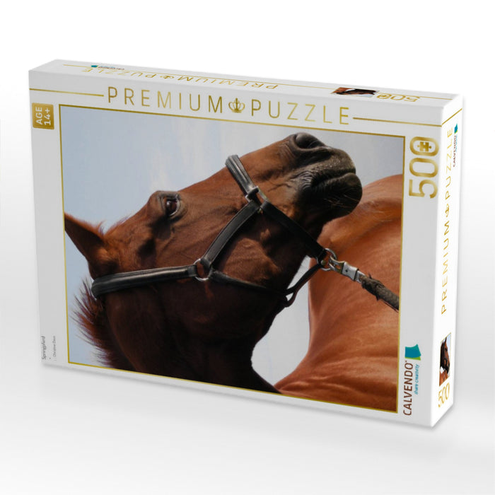 Springpferd - CALVENDO Foto-Puzzle'