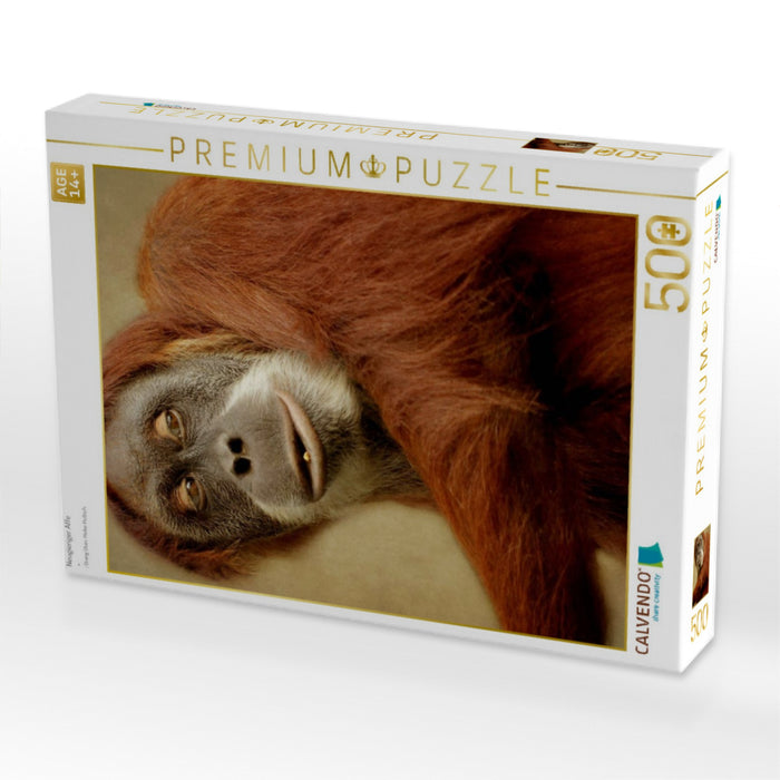 Neugieriger Affe - CALVENDO Foto-Puzzle'