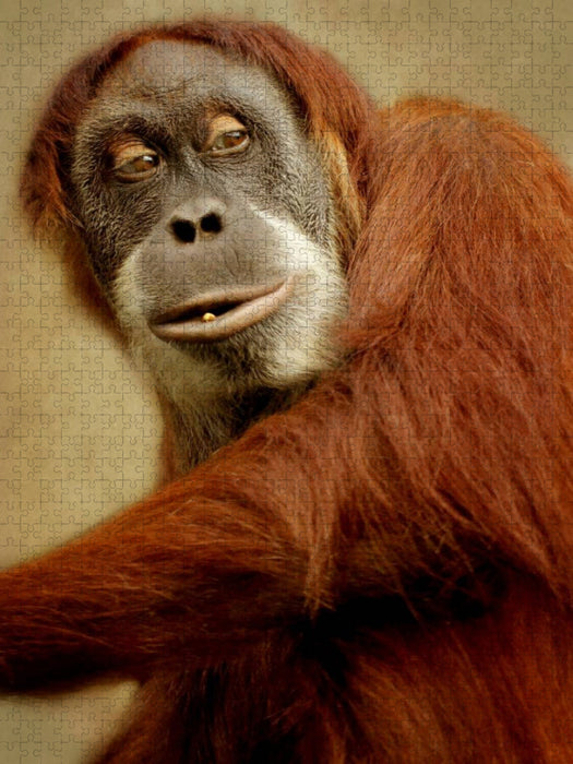 Neugieriger Affe - CALVENDO Foto-Puzzle'