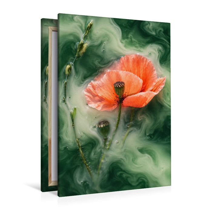 Premium Textil-Leinwand Klatschmohn