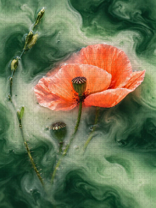 Klatschmohn - CALVENDO Foto-Puzzle'