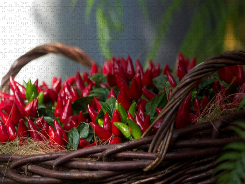 Chilli - CALVENDO Foto-Puzzle'