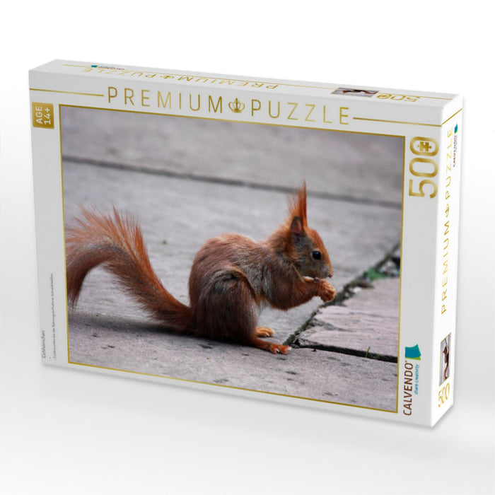 Eichhörnchen - CALVENDO Foto-Puzzle'