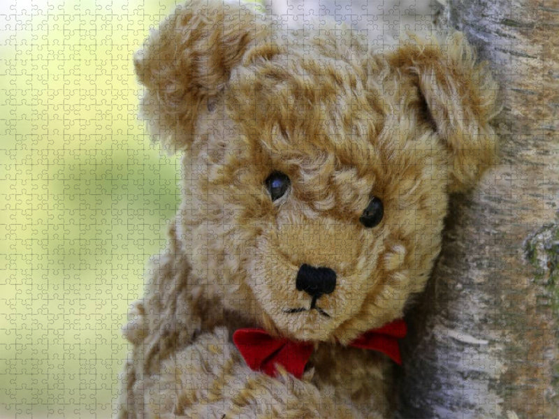Teddy - CALVENDO Foto-Puzzle'