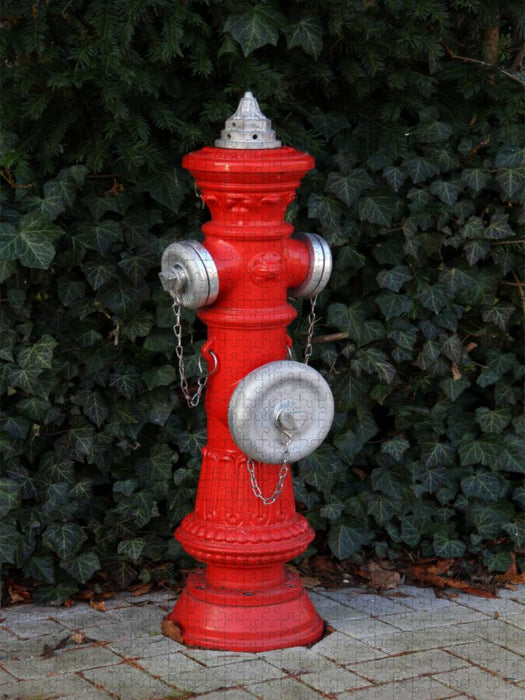 Roter Hydrant - CALVENDO Foto-Puzzle'