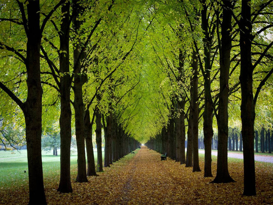 Georgengarten - CALVENDO Foto-Puzzle'
