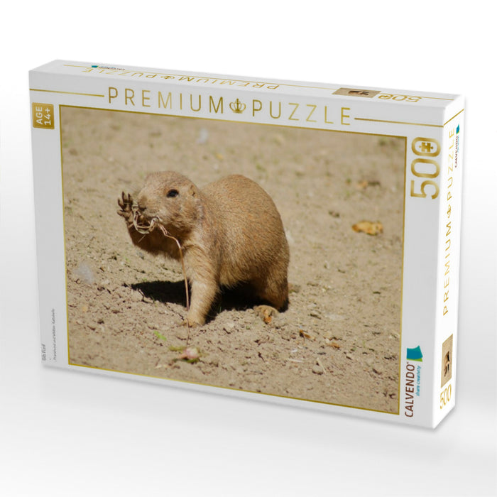 Gib Fünf - CALVENDO Foto-Puzzle'