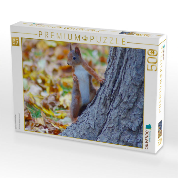 Cooles Eichhörnchen - CALVENDO Foto-Puzzle'