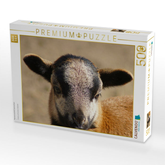Kamerunschaf Lämmchen - CALVENDO Foto-Puzzle'