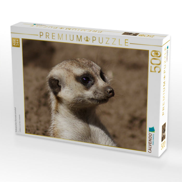 Erdmännchen (Suricata suricatta) - CALVENDO Foto-Puzzle'