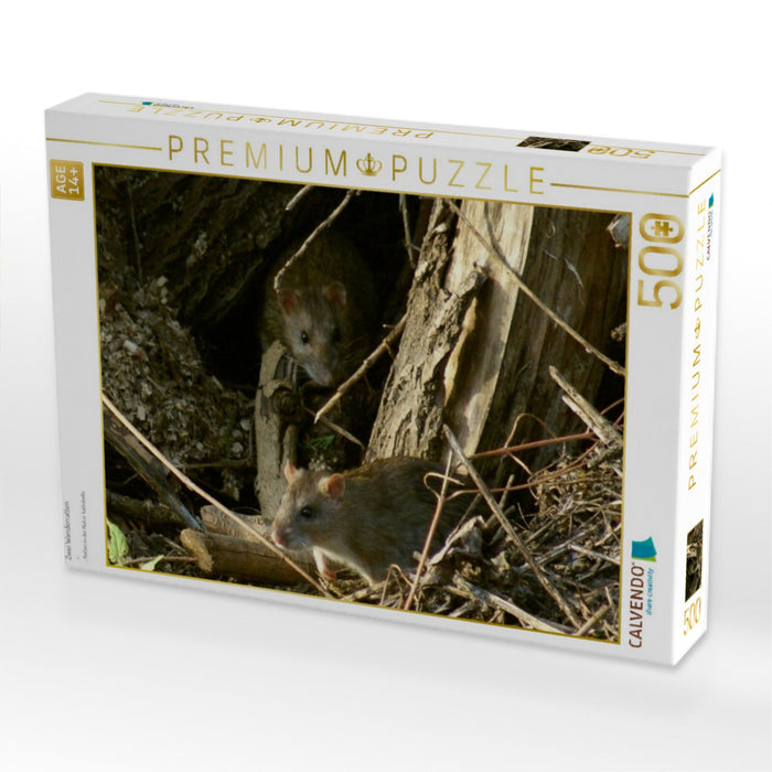Zwei Wanderratten - CALVENDO Foto-Puzzle'