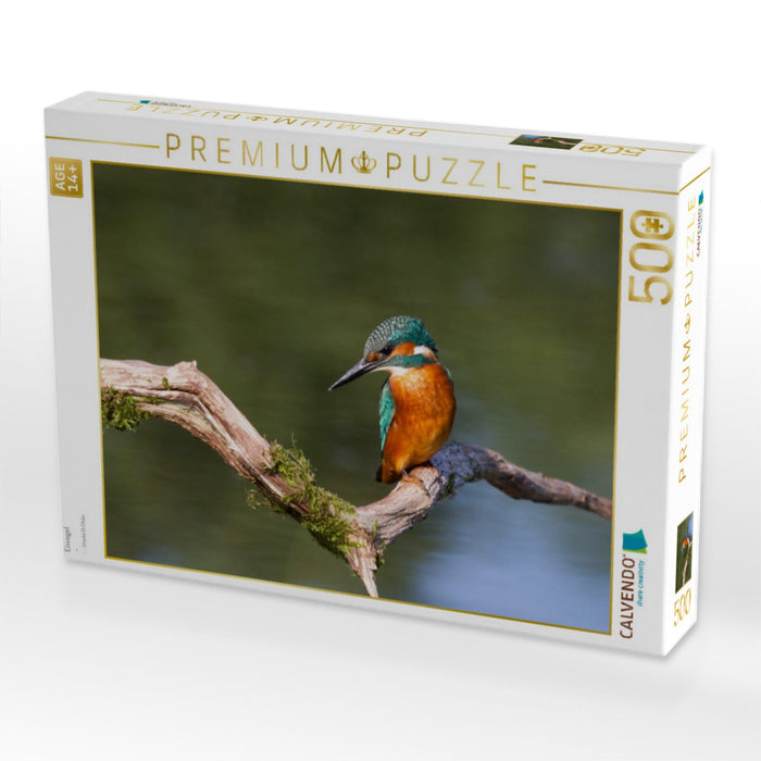 Eisvogel - CALVENDO Foto-Puzzle'
