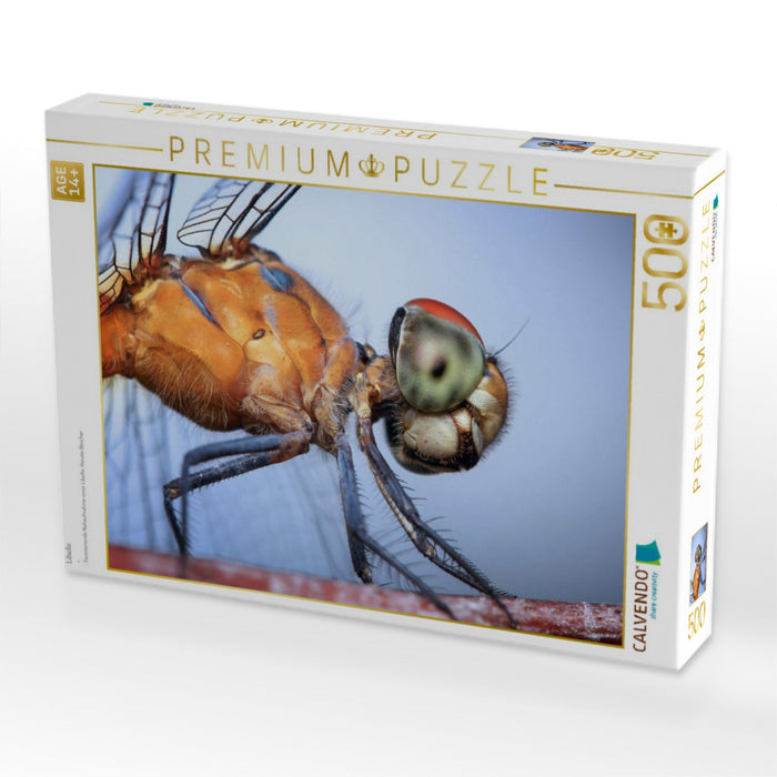 Libelle - CALVENDO Foto-Puzzle'