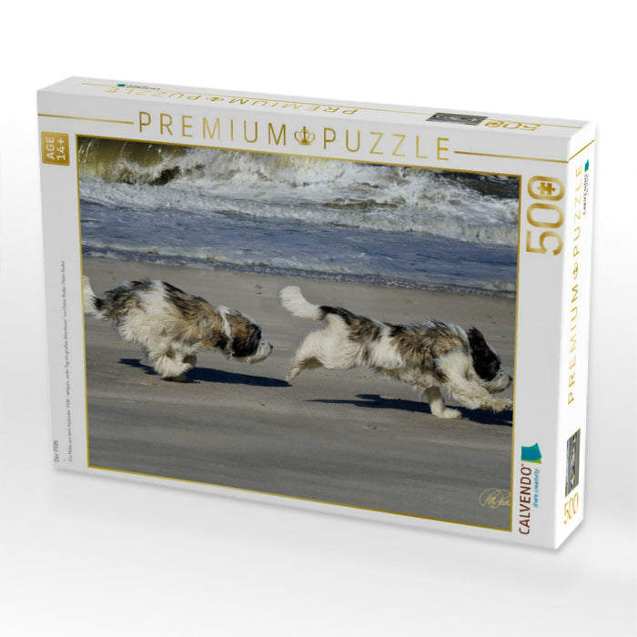 Der PON - CALVENDO Foto-Puzzle'