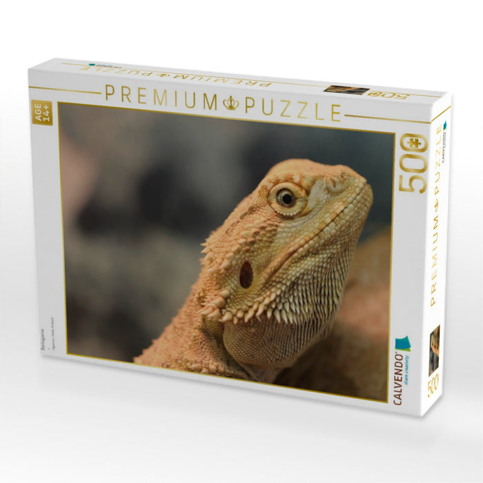 Bartagame - CALVENDO Foto-Puzzle'