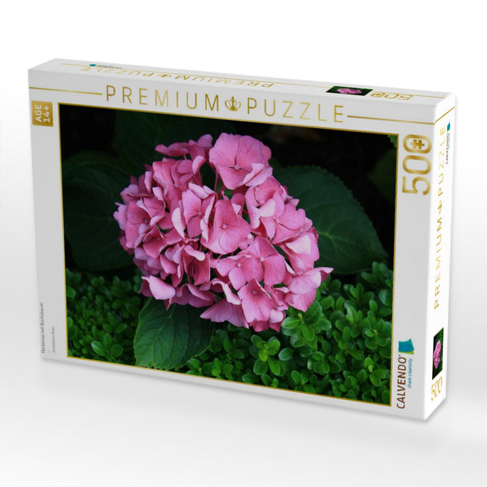Hortensie mit Buchsbaum - CALVENDO Foto-Puzzle'
