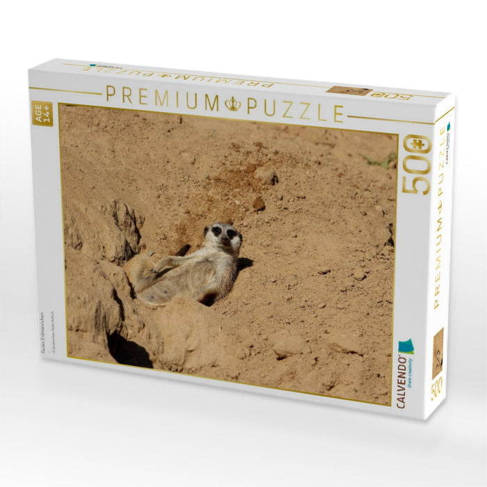 Faules Erdmännchen - CALVENDO Foto-Puzzle'