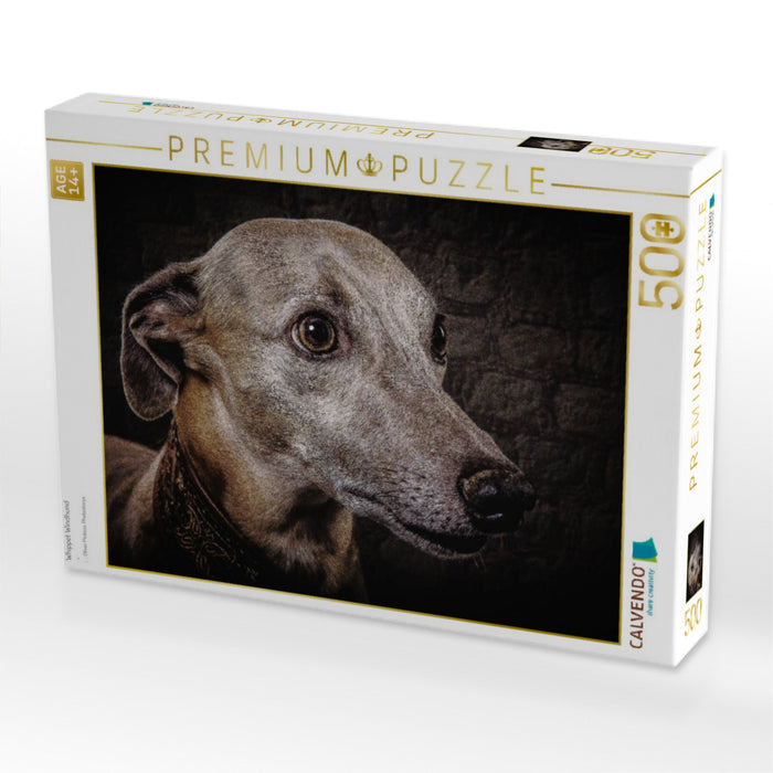 Whippet Windhund - CALVENDO Foto-Puzzle'