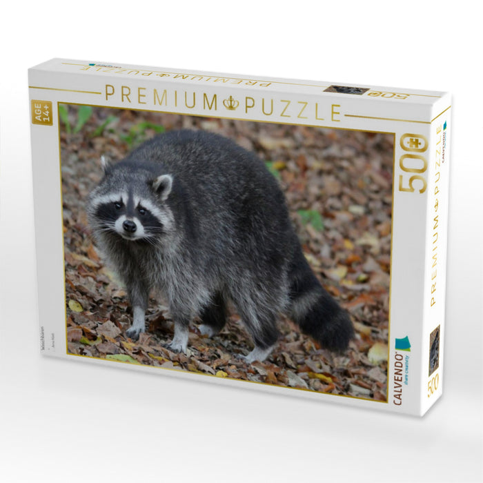 Waschbären - CALVENDO Foto-Puzzle'
