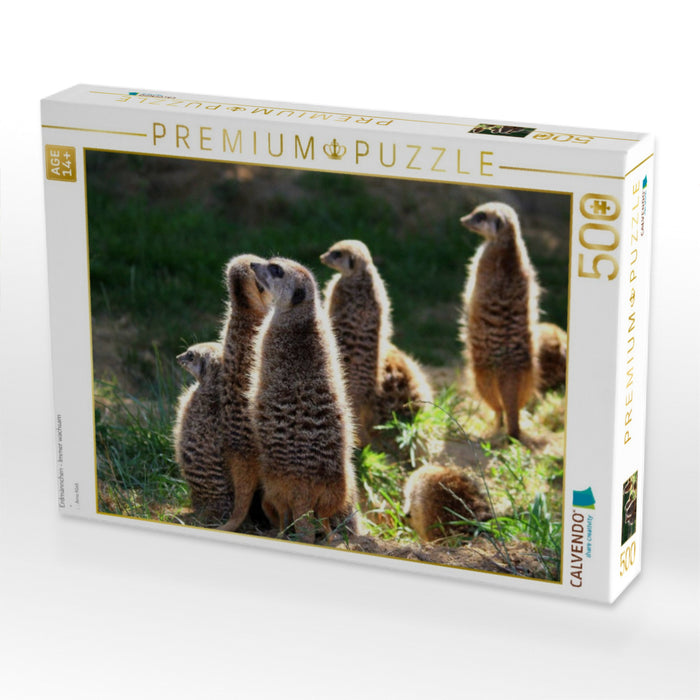 Erdmännchen - Immer wachsam - CALVENDO Foto-Puzzle'