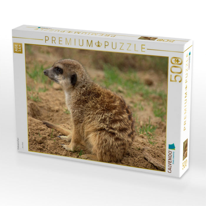 Erdmännchen - CALVENDO Foto-Puzzle'