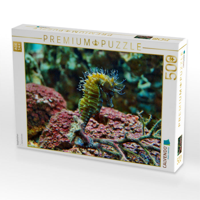 Seepferdchen - CALVENDO Foto-Puzzle'