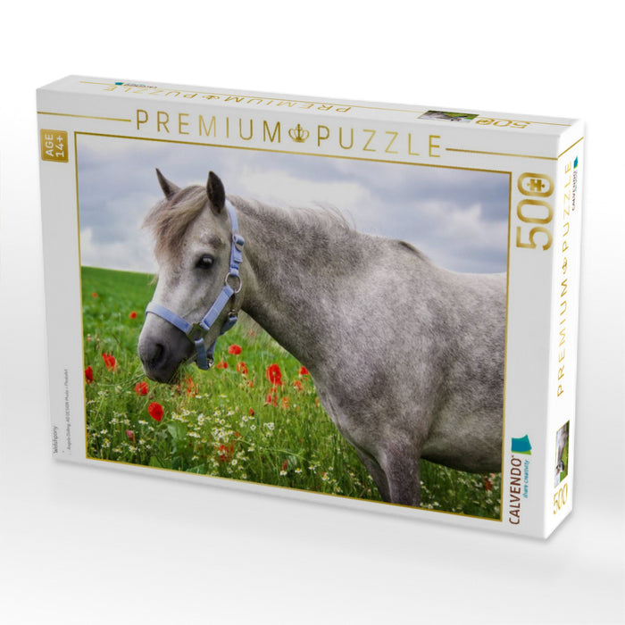 Welshpony - CALVENDO Foto-Puzzle'