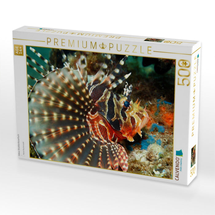 Zebra-Strahlenfeuerfisch - CALVENDO Foto-Puzzle'