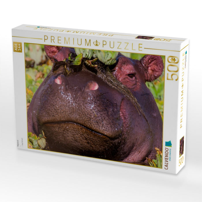 Nilpferd - CALVENDO Foto-Puzzle'