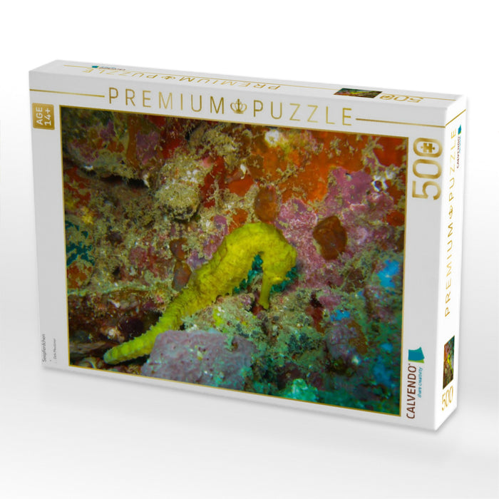 Seepferdchen - CALVENDO Foto-Puzzle'