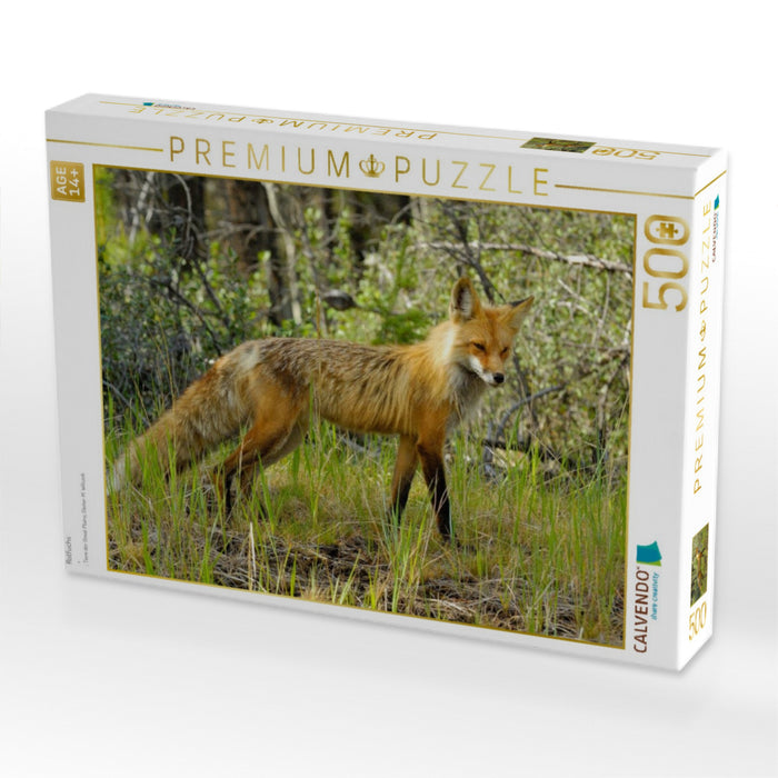 Rotfuchs - CALVENDO Foto-Puzzle'