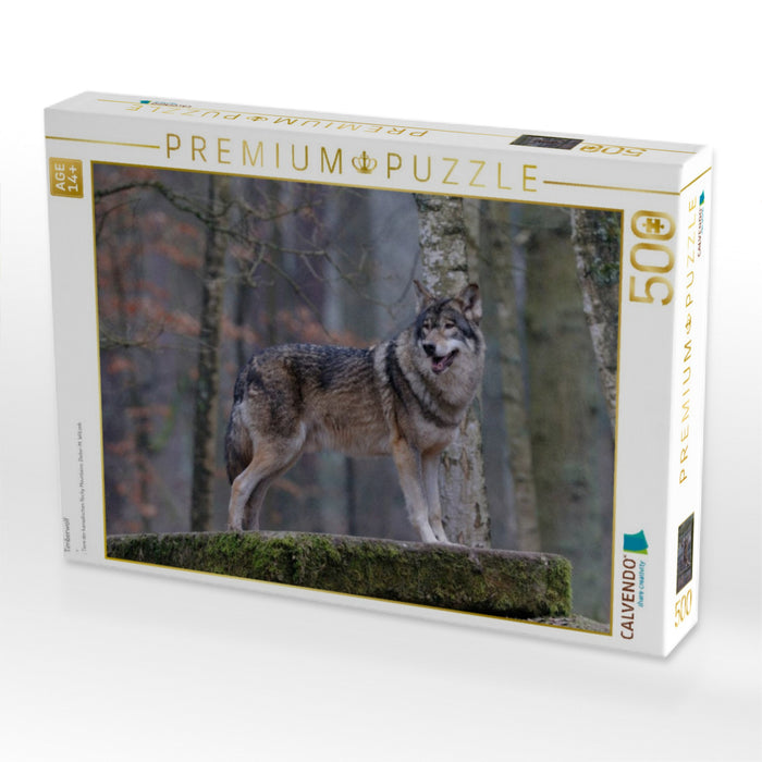 Timberwolf - CALVENDO Foto-Puzzle'