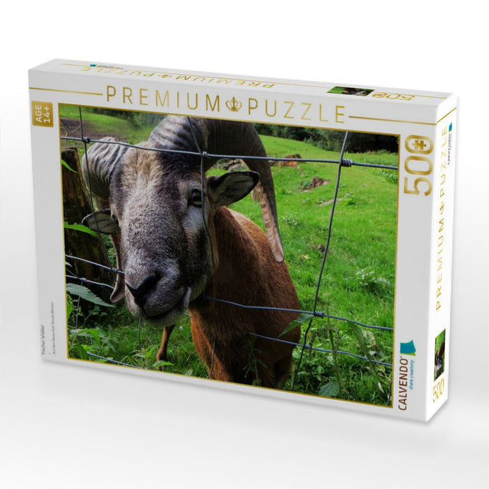 Frecher Widder - CALVENDO Foto-Puzzle'