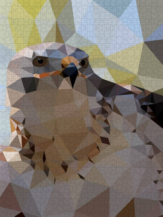 Greifvogel - CALVENDO Foto-Puzzle'