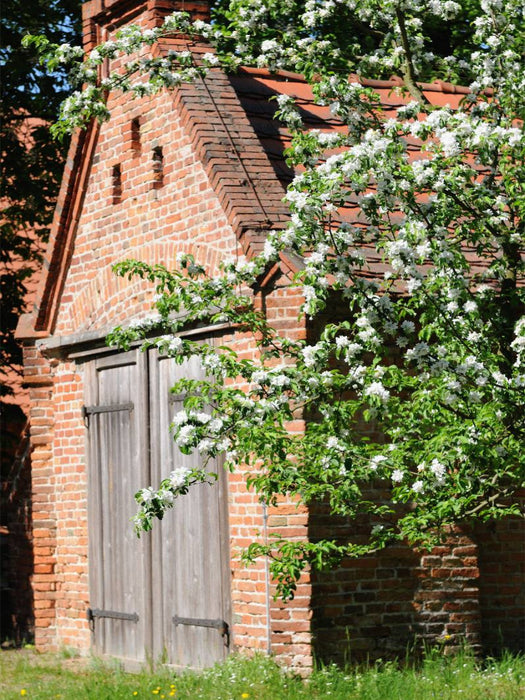 Alte Scheune - CALVENDO Foto-Puzzle'