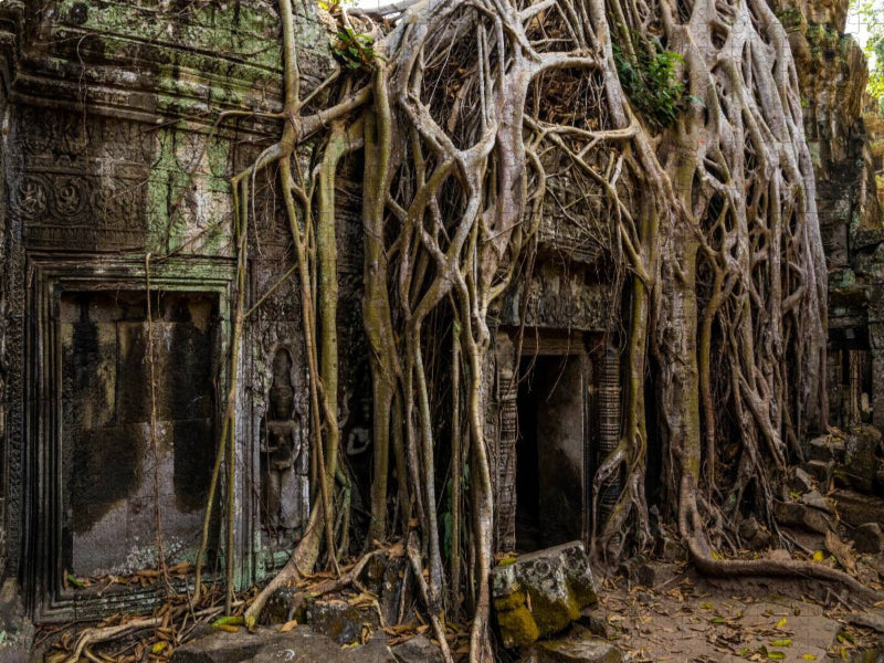 Ta Prohm - CALVENDO Foto-Puzzle'