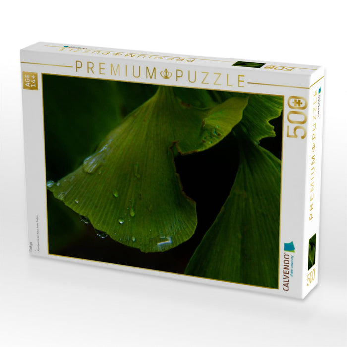 Ginkgo - CALVENDO Foto-Puzzle'