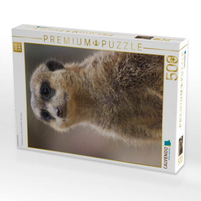 Erdmännchen - CALVENDO Foto-Puzzle'