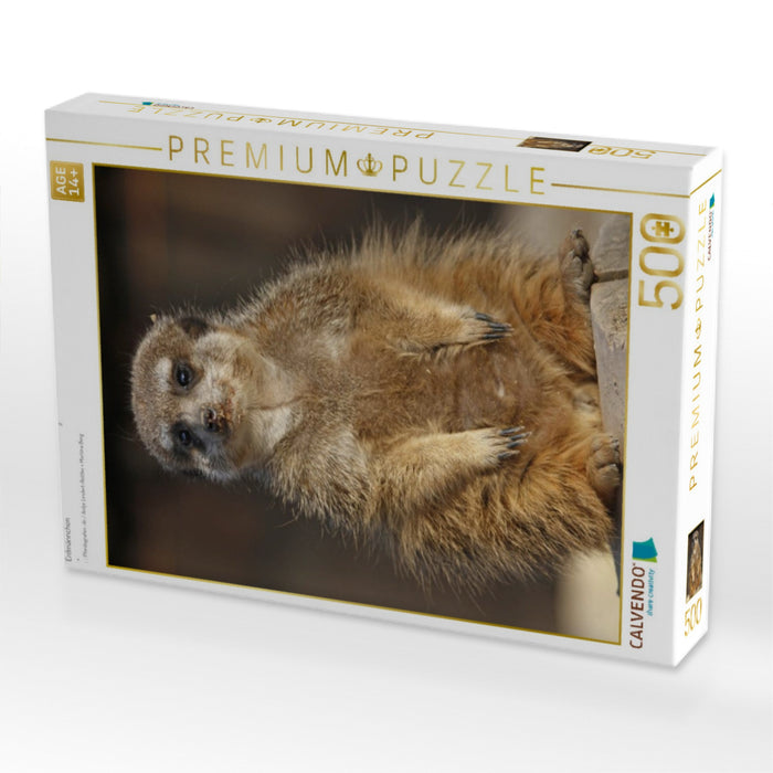 Erdmännchen - CALVENDO Foto-Puzzle'