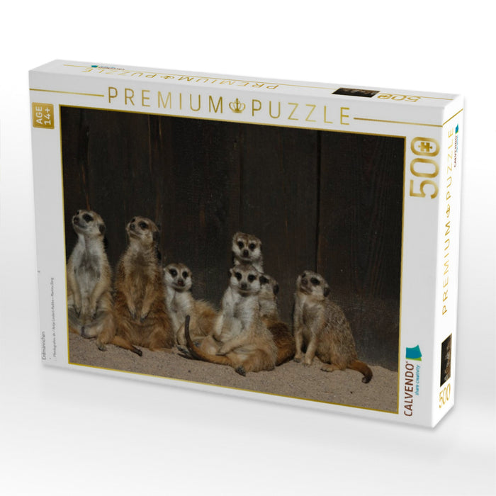 Erdmännchen - CALVENDO Foto-Puzzle'