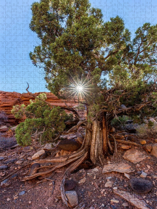 Utah Juniper - CALVENDO Foto-Puzzle'